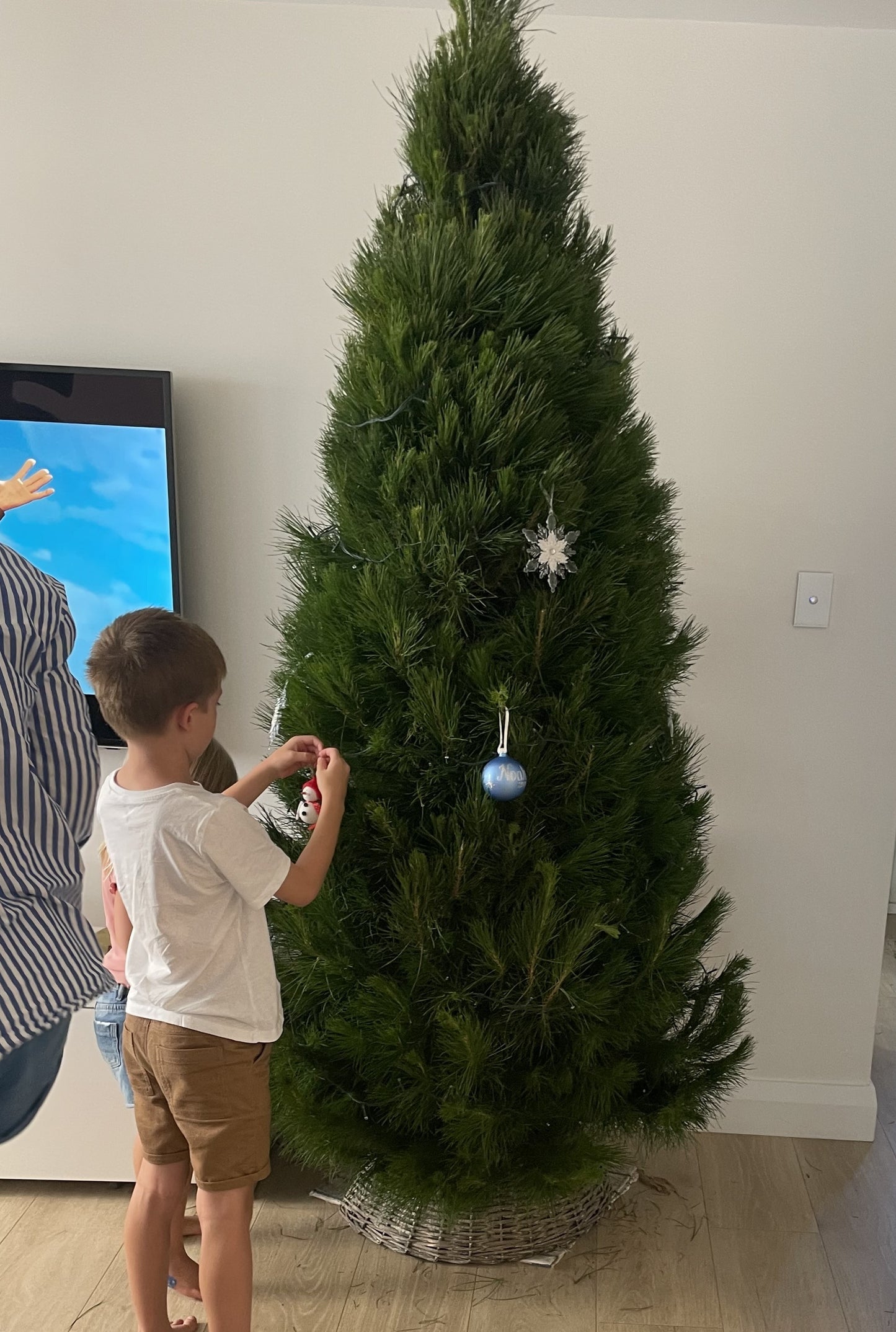 Pre-Ordered - Fresh Cut Pine Christmas Tree