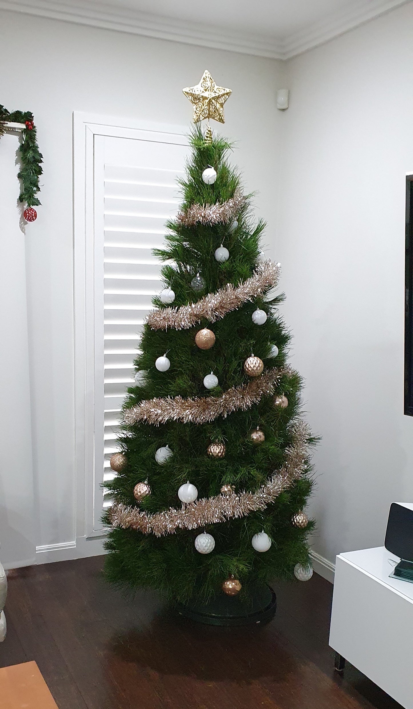 Pre-Ordered - Fresh Cut Pine Christmas Tree